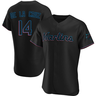 Bryan De La Cruz 14 left fielder Miami Marlins baseball poster 2023 T-shirt,  hoodie, sweater, long sleeve and tank top